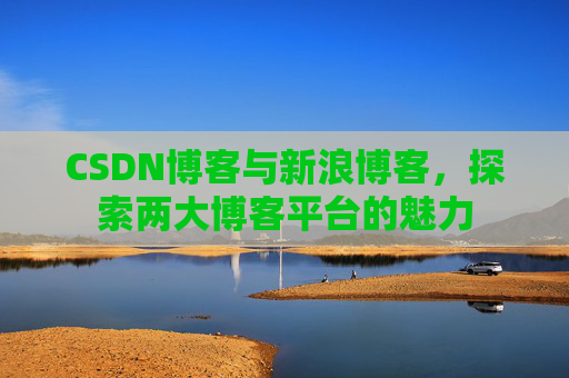CSDN博客与新浪博客，探索两大博客平台的魅力